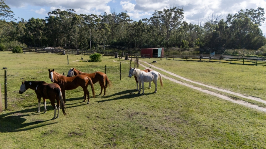 Commercial Property for Sale in Plettenberg Bay Rural Western Cape